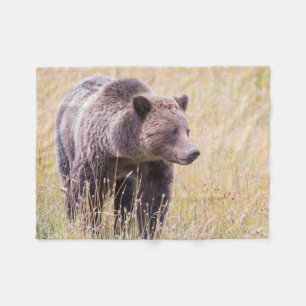 USA, Wyoming, Yellowstone-Nationalpark, Grizzly 3 Fleecedecke
