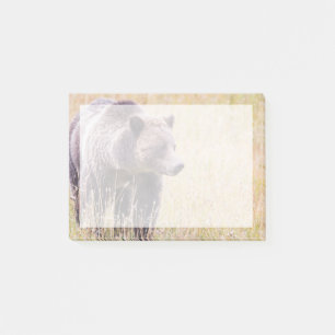 USA, Wyoming, Yellowstone-Nationalpark, Grizzly 3 Post-it Klebezettel
