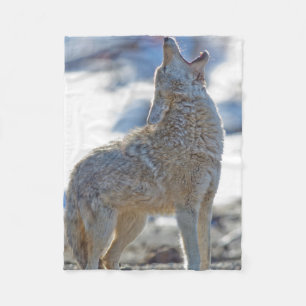 USA, Wyoming, Yellowstone-Nationalpark, Kojote Fleecedecke