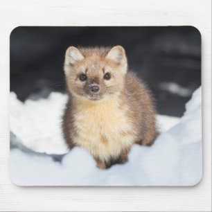 USA, Wyoming, Yellowstone-Nationalpark Mousepad