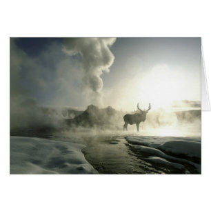 USA, Wyoming, Yellowstone-Nationalpark. Sonnenaufg