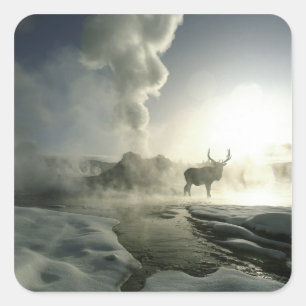 USA, Wyoming, Yellowstone Nationalpark. Sunrise Quadratischer Aufkleber