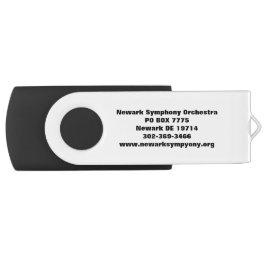 USB Stick mit Drehgelenk