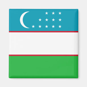 Usbekistan-Flagge Magnet