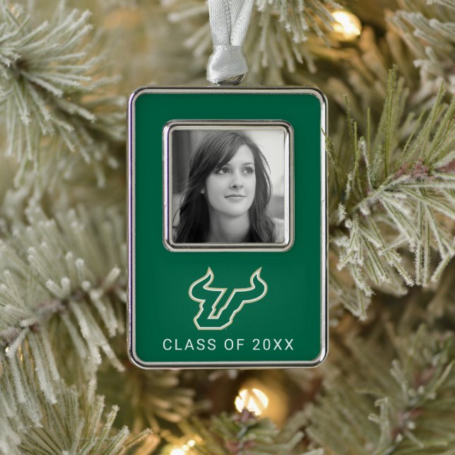 USF-Bullen Rahmen-Ornament Silber (Baum)