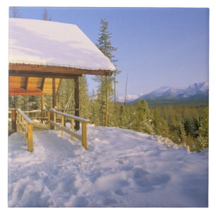 USFS Schnauss Cabin-Miete im Winter mit Aussicht Fliese