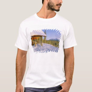 USFS Schnauss Cabin-Miete im Winter mit Blick auf T-Shirt