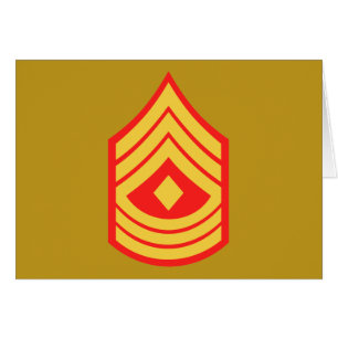 USMC 1st Sgt First Sergeant E-8