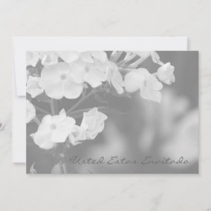 Usted estas envitado