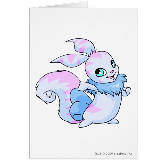 Usul a barré (Devant)