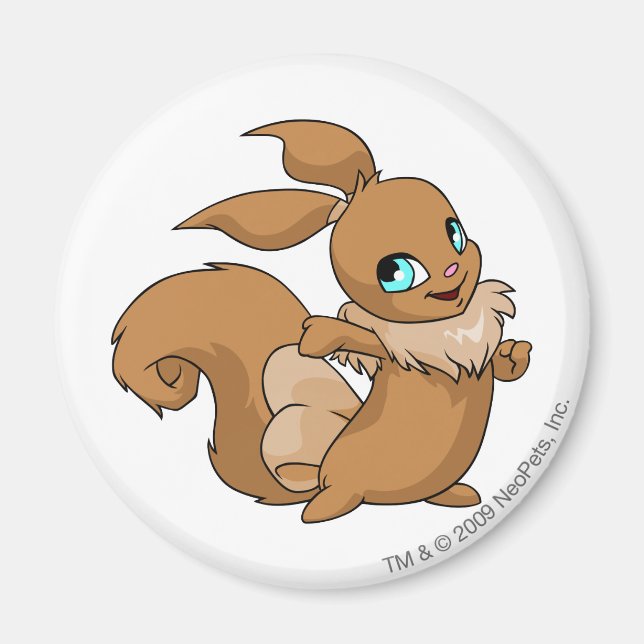 Usul Brown Magnet (Vorne)