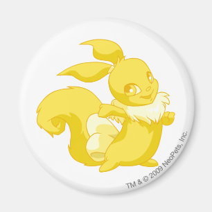 Usul Gold Magnet