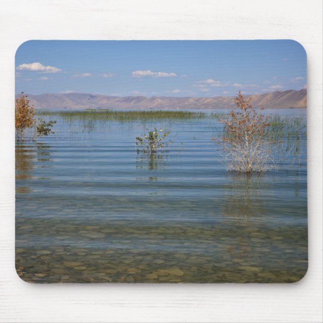 UT, Bärensee Mousepad (Vorne)