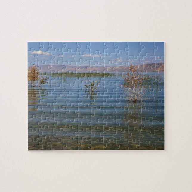 UT, Bear Lake (Horizontal)