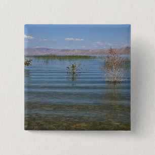 UT, Bear Lake Button
