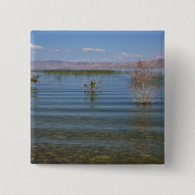 UT, Bear Lake Button (Vorderseite)