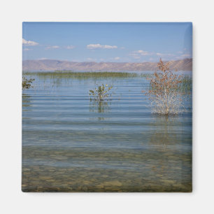 UT, Bear Lake Magnet