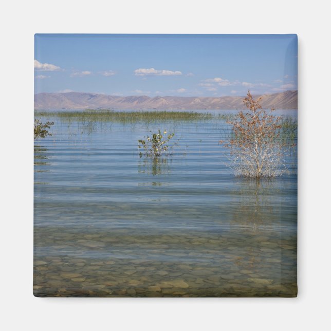 UT, Bear Lake Magnet (Vorne)