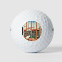 Utagawa Hiroshige - Felder in Asakusa - Rice Golfball