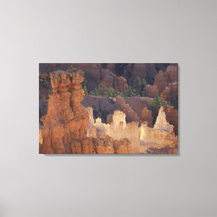 Utah, Bryce Canyon Nationalpark. Hoodoos, Leinwanddruck