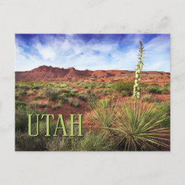 Utah Desert Yucca Postkarte
