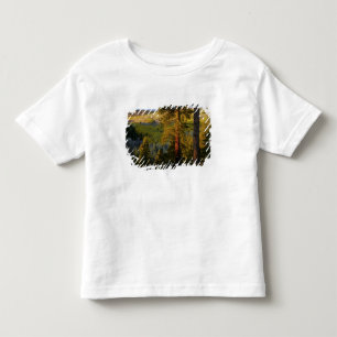 UTAH. Gelbkiefern & Espe, Herbst. Sonnenaufgang, Kleinkind T-shirt