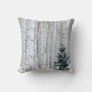 UTAH. USA. Aspen (Populus tremuloides) & Douglas Kissen