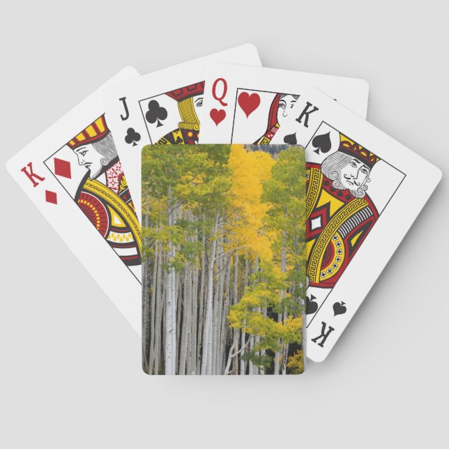 Utah. USA. Aspen Trees (Populus Tremuloides) Spielkarten (Rückseite)