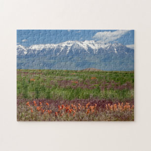 Utah, USA. Der Mt. Timpanogos erhebt sich darüber