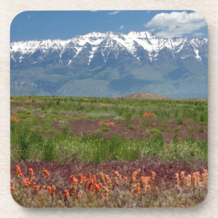 Utah, USA. Der Mt. Timpanogos erhebt sich darüber Getränkeuntersetzer