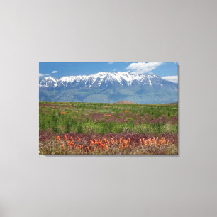 Utah, USA. Der Mt. Timpanogos erhebt sich darüber Leinwanddruck
