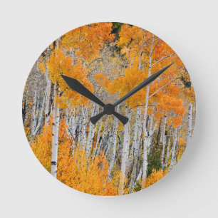 Utah, USA. Espenbäume (Populus Tremuloides) 4 Runde Wanduhr