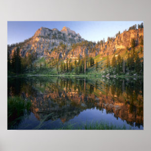 UTAH. USA. Mt. Magog, reflektiert in weißem Kiefer Poster