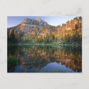 UTAH. USA. Mt. Magog spiegelt sich in Weißen Kiefe Postkarte