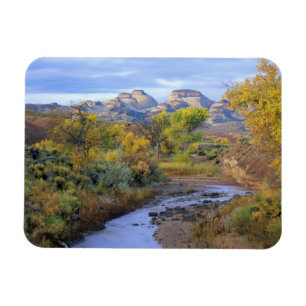 UTAH. USA. Pleasant Creek im Herbst bei Sonnenaufg Magnet