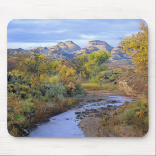 UTAH. USA. Pleasant Creek im Herbst bei Sonnenaufg Mousepad