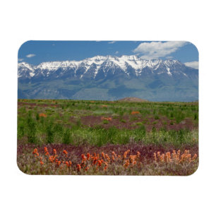 Utah, USA. Timpanogos erhebt sich oben Magnet