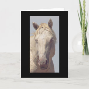 UTAH WILD HORSE LA Carte de voeux pliée ALBINO