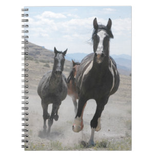 Utah Wild Horses Running Notizblock