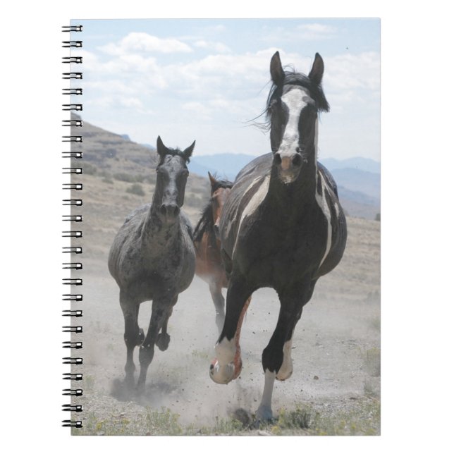 Utah Wild Horses Running Notizblock (Vorderseite)