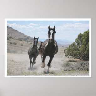 Utah Wild Horses Running Poster