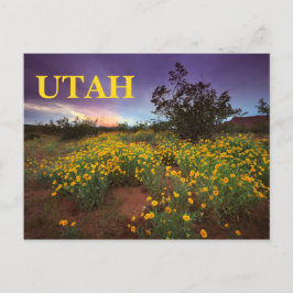 Utah Wüste Wildblumen Postkarte