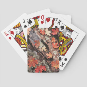 Utah, Zion National Park, Muster des Herbstes Spielkarten