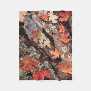 Utah, Zion Nationalpark, Herbstmuster Fleecedecke