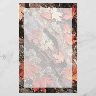 Utah, Zion-Nationalpark, Muster des Herbstes Briefpapier