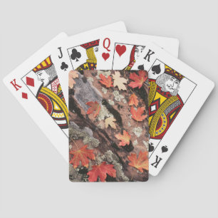 Utah, Zion-Nationalpark, Muster des Herbstes Spielkarten