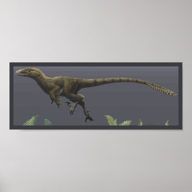 Utahraptor Poster (Vorne)