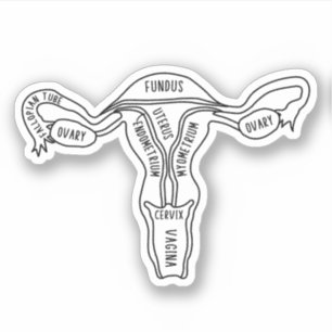 Uterus Anatomie, Feministin, Gynäkologin, Hebamme Aufkleber