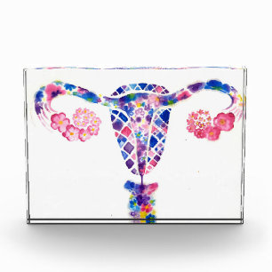 Uterus Fotoblock