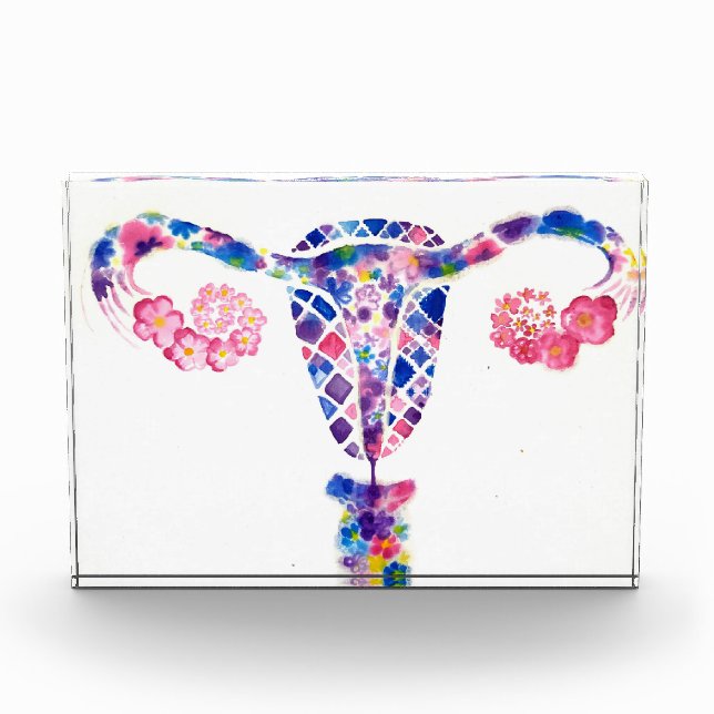 Uterus Fotoblock (Vorderseite)